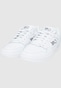 white_155337