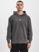 Tommy Jeans Rlx Tiny Hoodie-2