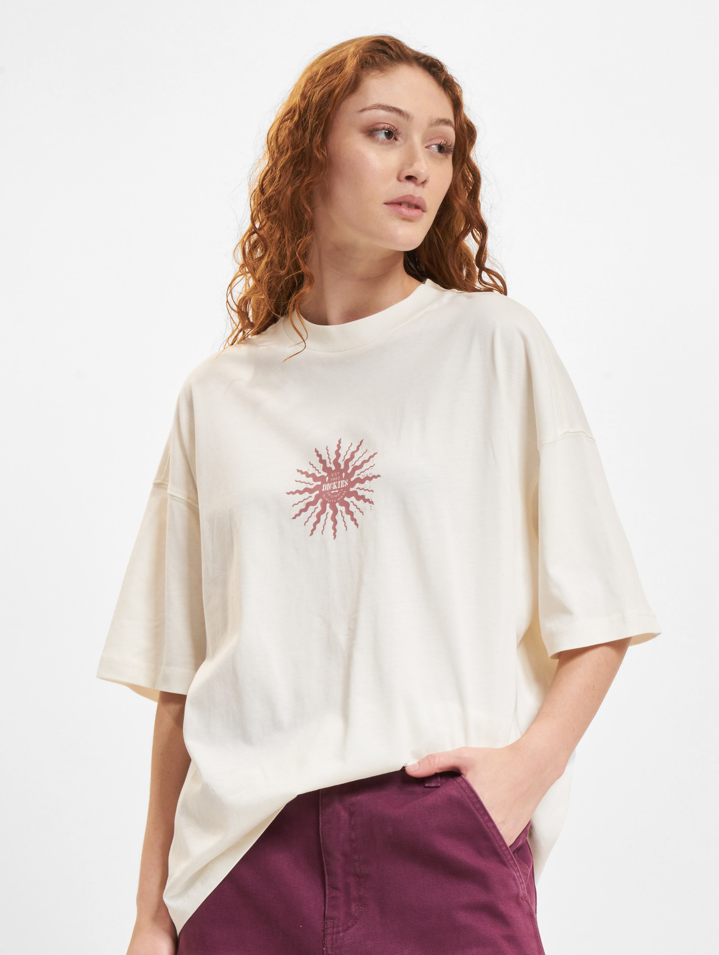 Dickies Kelso T-Shirt Frauen,Unisex op kleur beige, Maat L