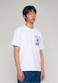 white_206147