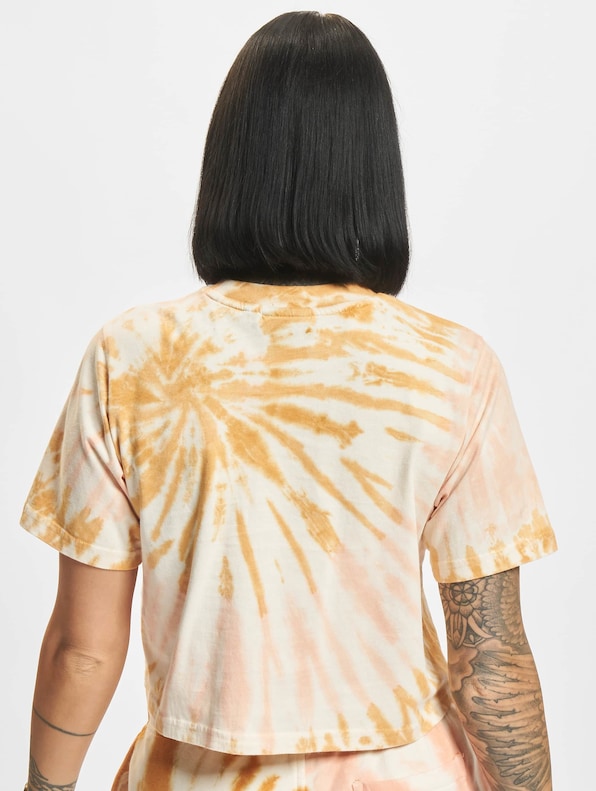 Dickies Seatac T-Shirt golden-1