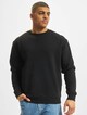 Crewneck Sweatshirt-2