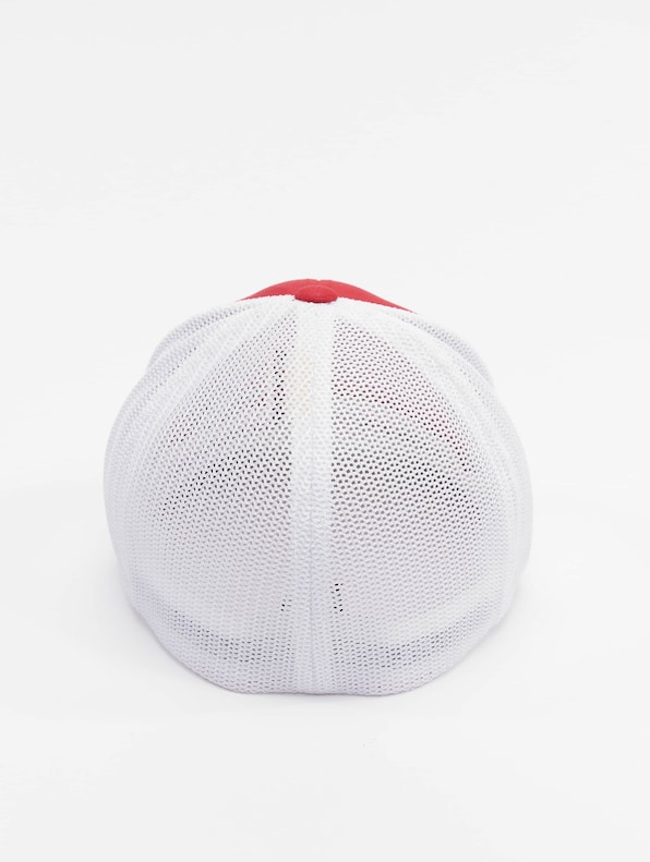 Mesh Cotton Twill -1