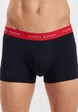 Boxer-10