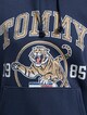 Tommy Jeans College Tiger Hoody-3