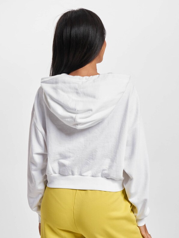 Levis Graphic Laundry Hoodie-1