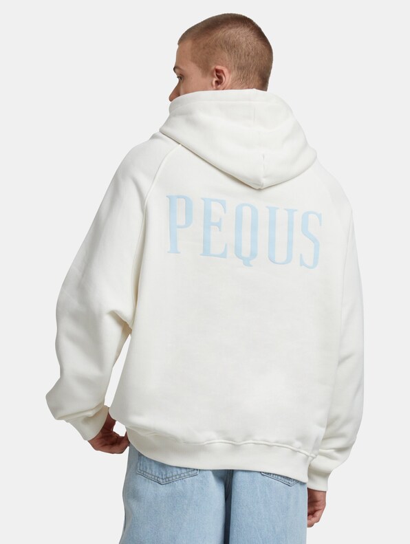 PEQUS Back Logo Hoodies-1