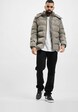 Hooded Puffer-6