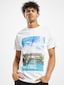 white_18860