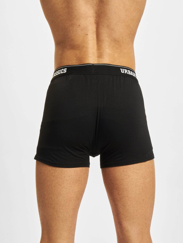 Organic Boxer Shorts 5-Pack-2