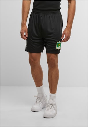 BASIC SOCCER SHORTS