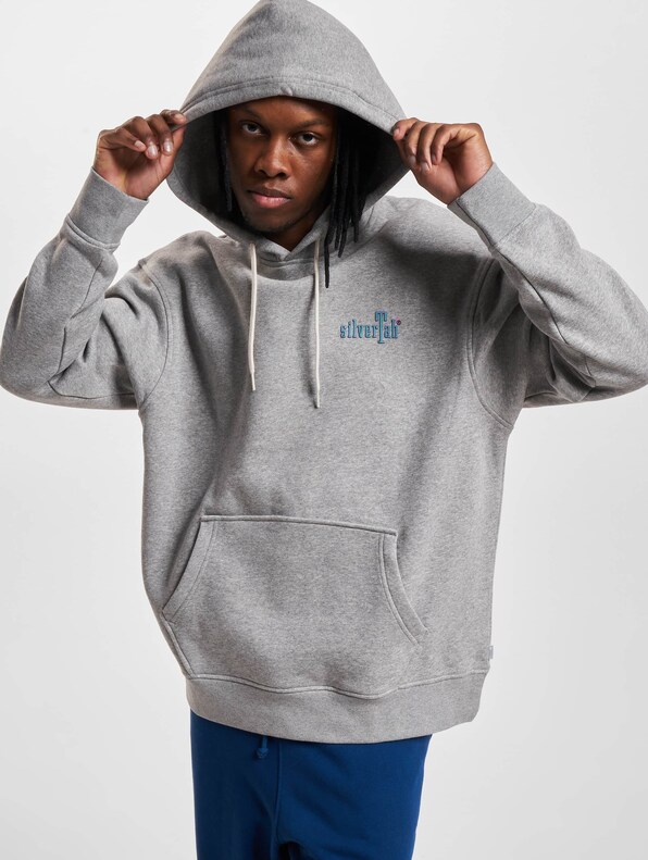 Levis Relaxed Graphic Hoodie-0
