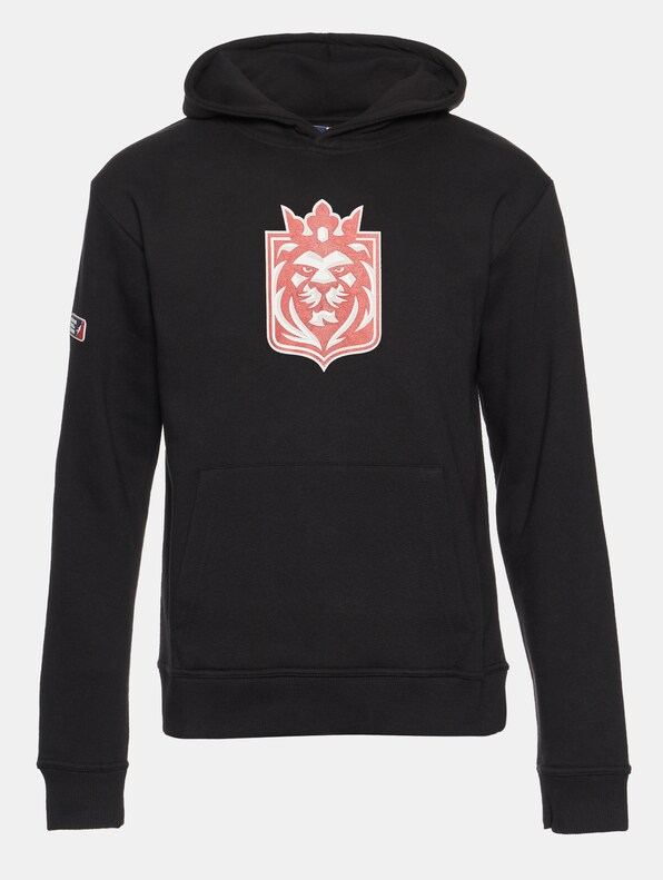 ELF Prague Lions 2 Hoodie-4