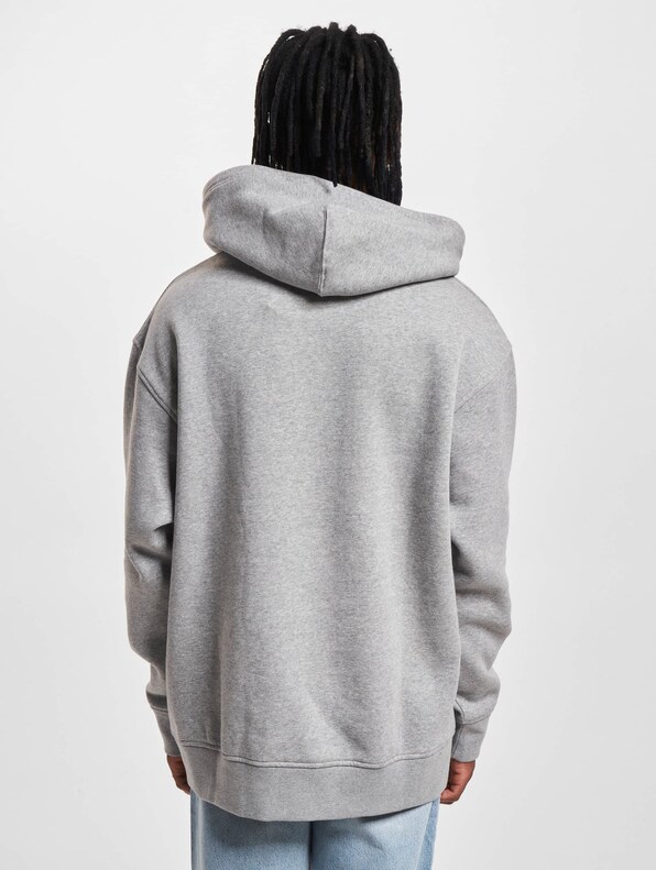 Levi's® Relaxed Graphic Hoody-1