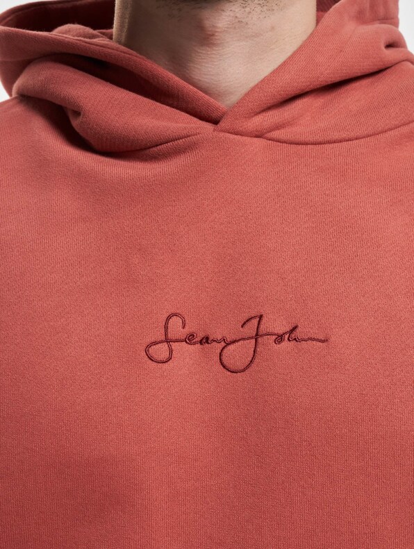 JM233-002-2 SJ Script Logo Backprint Peached Hoodie-3