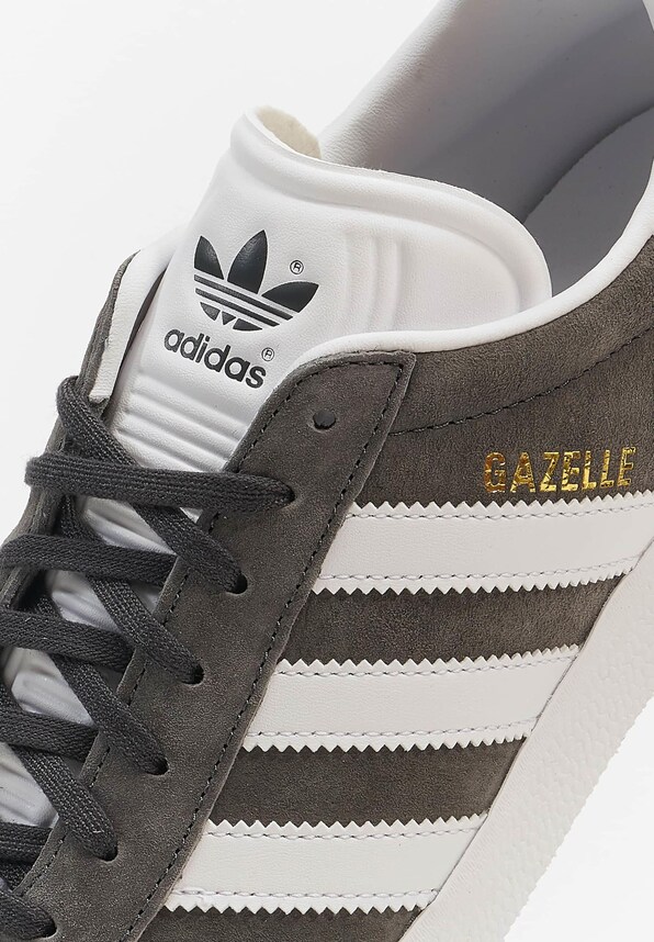 Gazelle-7