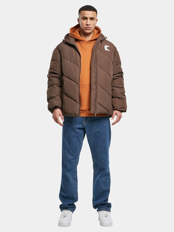 OG Hooded Puffer Winter-4