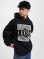 black_31333
