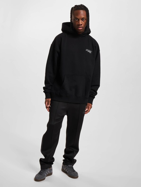 PEGADOR Tavery Oversized Hoody-6