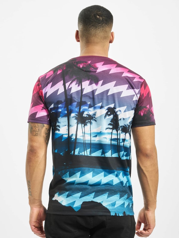 Palm Coast-1