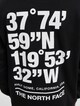 The North Face Coordinates Hoodie-3