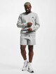 3 Stripes-5