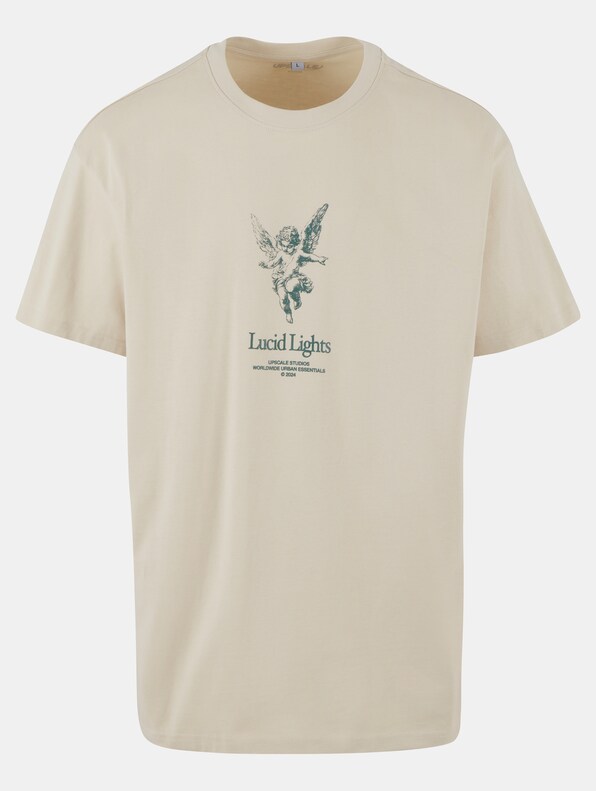Lucid Lights Heavy Oversize Tee-4