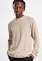 brown_133947