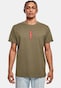 olive_105645