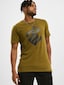 olive_14436
