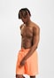 orange_113856