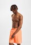 orange_113856
