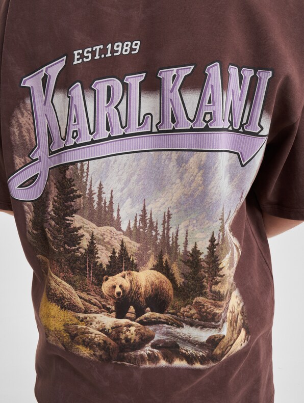 Small Signature Washed Heavy Jersey Landscape-3