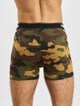 2-Pack Camo-2
