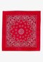 red_57912
