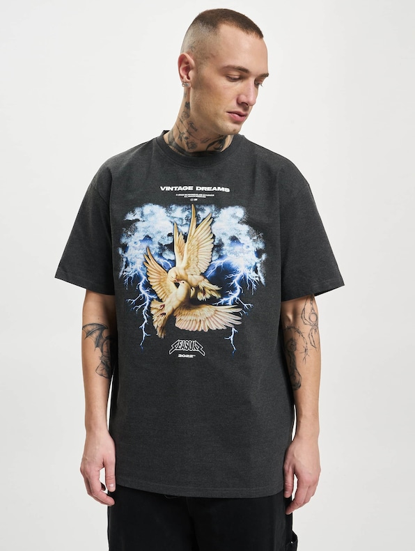 Vintage Dreams V.1 Heavy Oversized 2.0-2