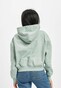 green_30521