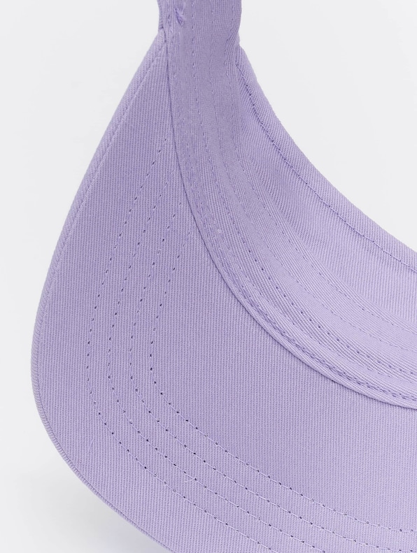 Curved Visor-2