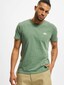 green_84782