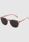 brown_128252