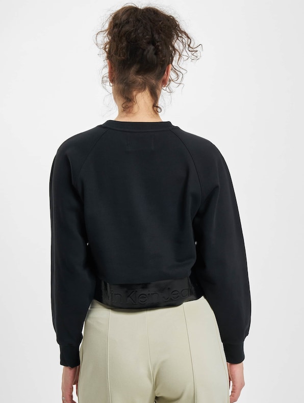 Calvin Klein Shiny Logo Blocking Pullover-1