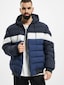 blue_6294