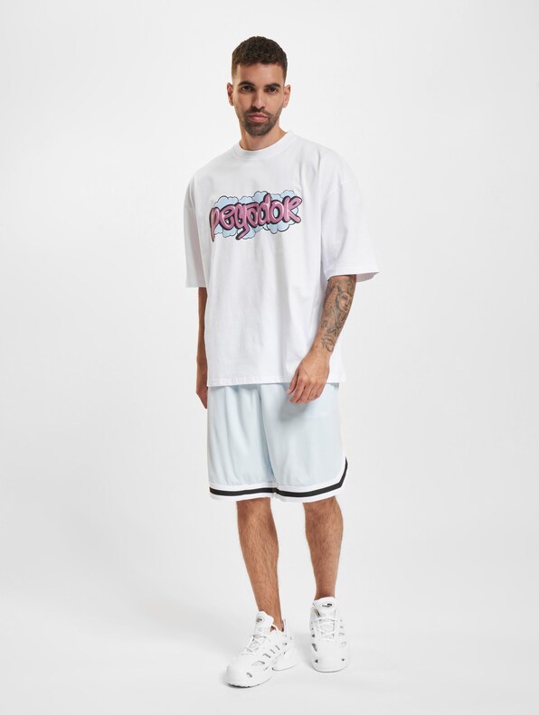 PEGADOR Breen Boxy T-Shirts-4