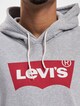 Levis Standard Graphic Hoodie-3