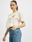 rose_18340