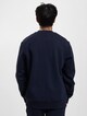 Lacoste Sweater-1