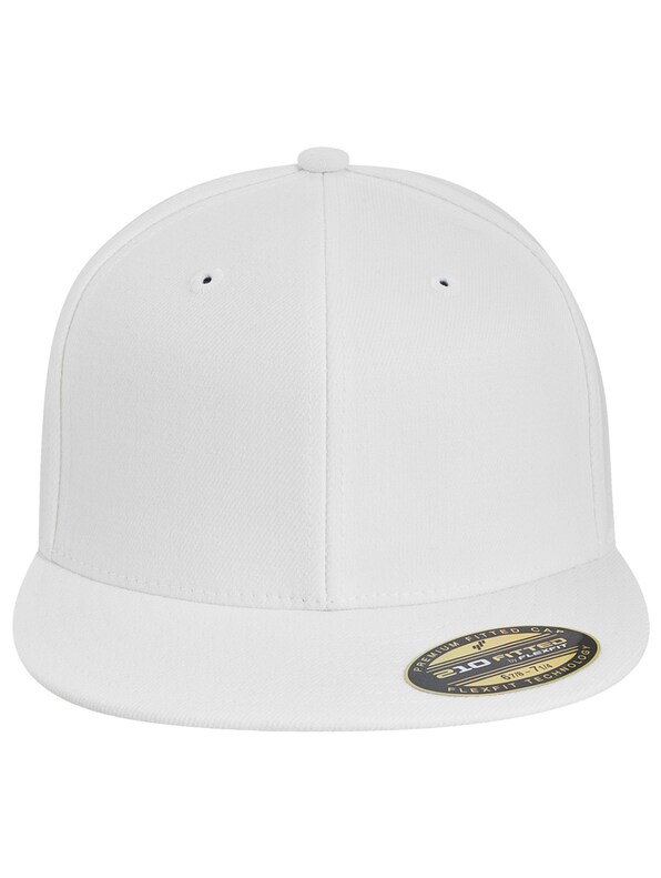 Flexfit Baseball Cap-1