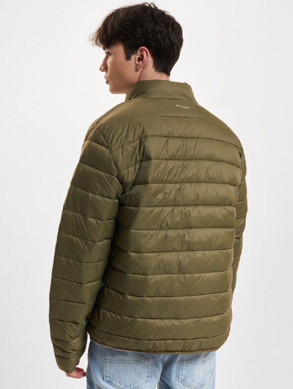 CARLOS lightweight-1