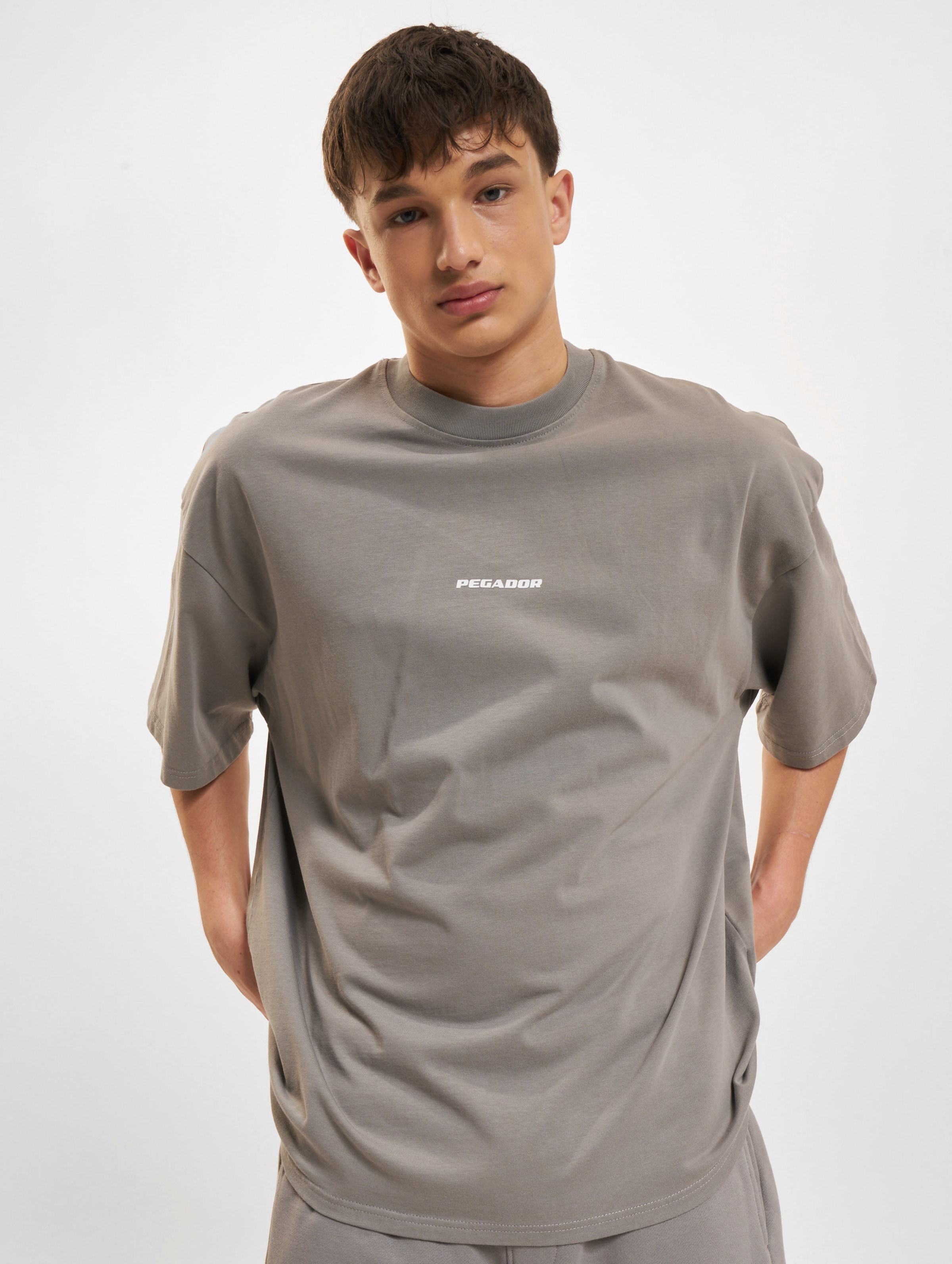 PEGADOR Logo Boxy T-Shirts Mannen op kleur grijs, Maat L