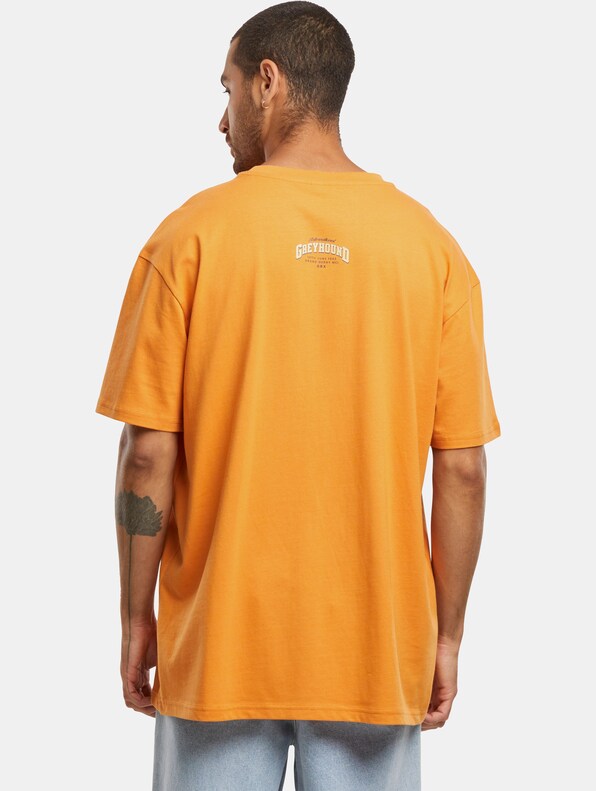 Mister Tee Greyhound Racing Oversize Tee-1